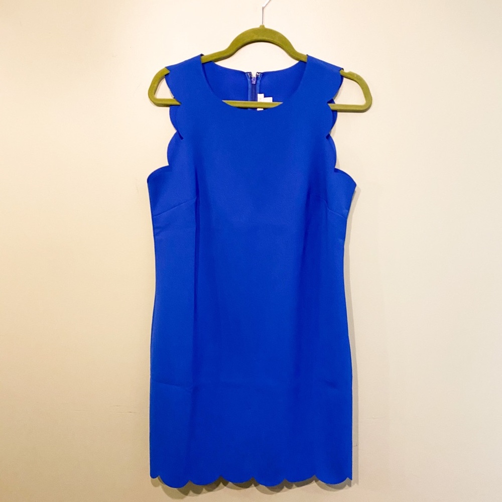NWOT J. Crew Blue Scalloped Dress